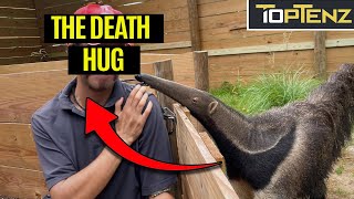 10 Horrifying Stories of Animals Killing their Owners by TopTenz 18,727 views 3 months ago 15 minutes