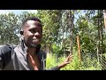 I LEFT TOWN FOR THE VILLAGE TO LIVE OFFGRID 