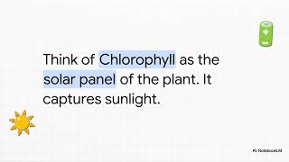 Biology Explained: Smart Study Tips for Photosynthesis