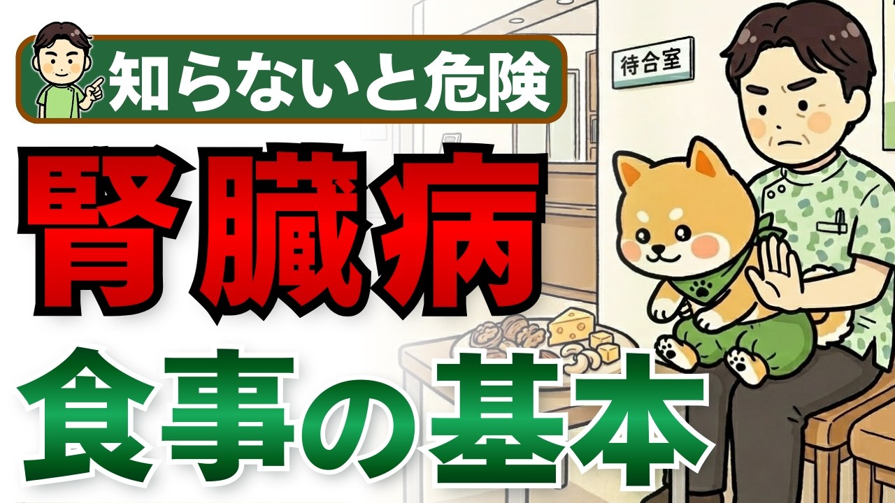 【獣医師解説】その食事、愛犬の負担かも！じゃあ何ならいいの？