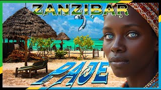 Partying in Paje ZANZIBAR 2023