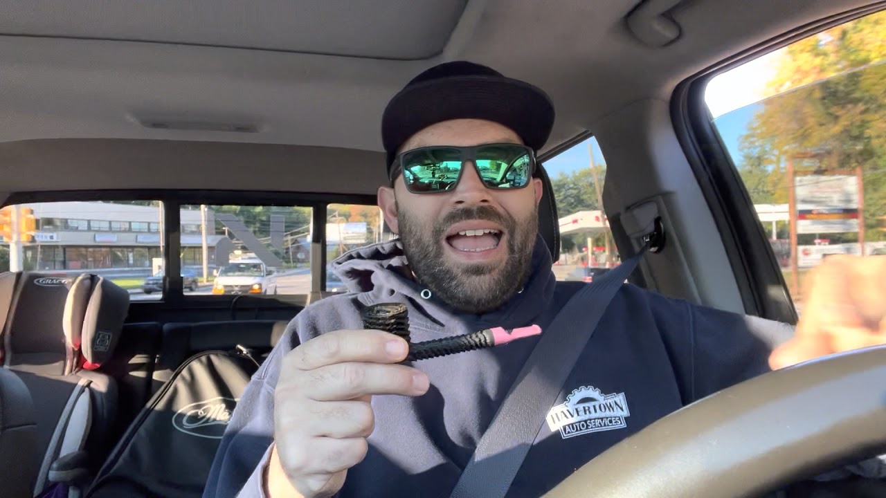 Peterson’s 3P’s and new Eclesias Lovat.