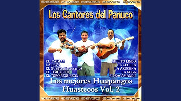 Thumbnail of Cielito Lindo