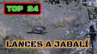 TOP 24 LANCES A JABALI 2021 2022 | WILDBOAR TOP 24 SETS  2021 2022