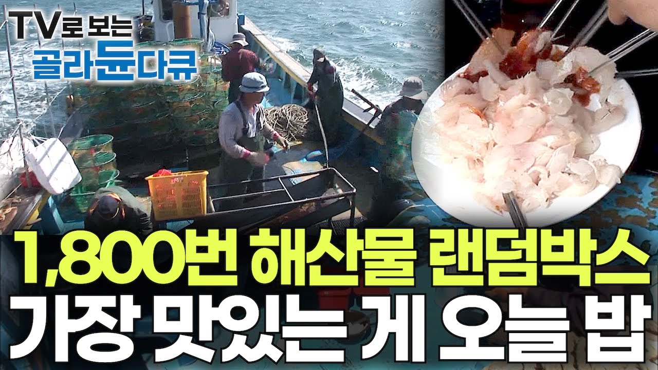 통발 1,800개 오늘은 어떤 해산물이 올라올까?｜가장 맛있는 게 오늘 점심 메뉴｜돈 주고도 사먹 을 수 없는 바다 위 생선 회 랜덤박스｜만선 꽃게잡이｜극한직업｜#골라듄다큐
