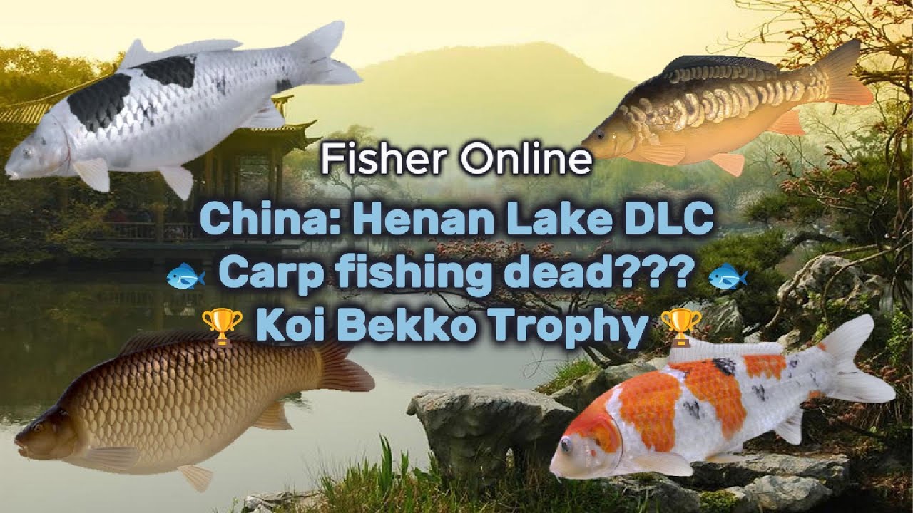 Трофейный улов Koi Bekko 🏆 | Зеркальный карп, карп, кои! | Китай: Дополнение к озеру Хэнань | Fis...
