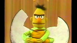 Sesame Street - School Pageant - The Life Of A Erfly
