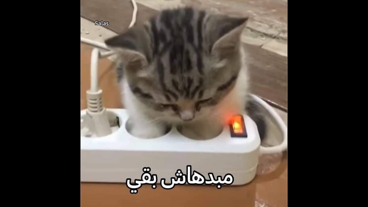 شرح حل مسألة 1792 Maximum Average Pass Ratio leetcode problem number ...