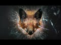 Fox Stevenson - No Fox Given EP (Preview) #welcometodiscipleFoxStevenson
