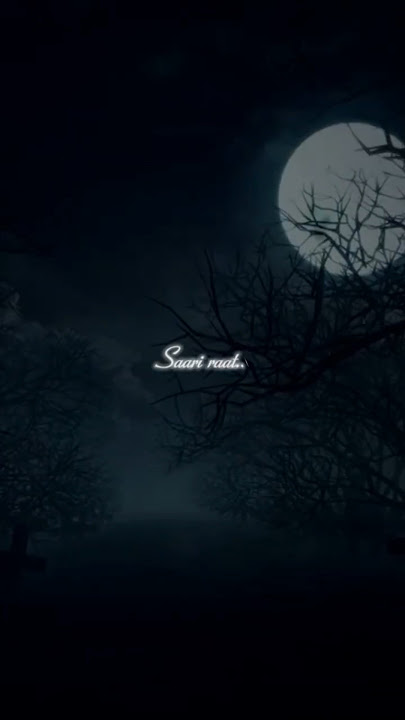 Mane na meri mann mera🖤🤍🖤!! Lyrical Aesthetic Nature Edit✨ #songlyrics #aesthetic #vibe #mann_mera
