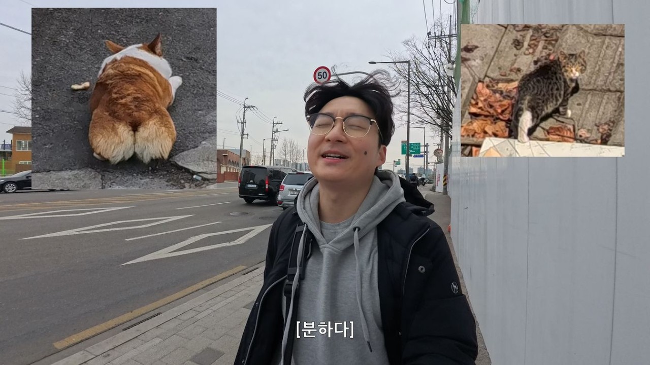 서울 한남동, 보광동 스캔 여행 영상일지 Seoul Scan Diary EP.03 | Hannam-dong & Bogwang-dong