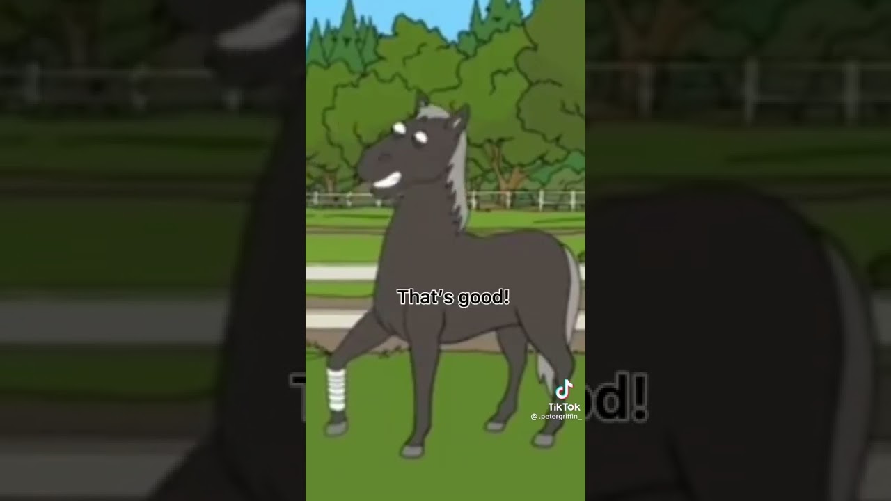 How's your leg?Huh!!