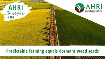 AHRI Insight 163 - Predictable farming equals dormant weed seeds