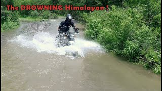 The drowning Himalayan rescued by BMW R 1200GS