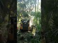It's a jungle out there!