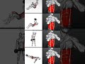 six pack workout # six pack workout #absworkout #sixpack# fitness# workout#gammotivation#fyp#shorts