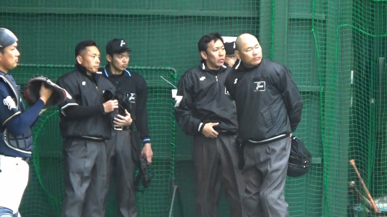 審判もキャンプイン ブルペンで談笑 するプロ野球審判員の皆さん Youtube