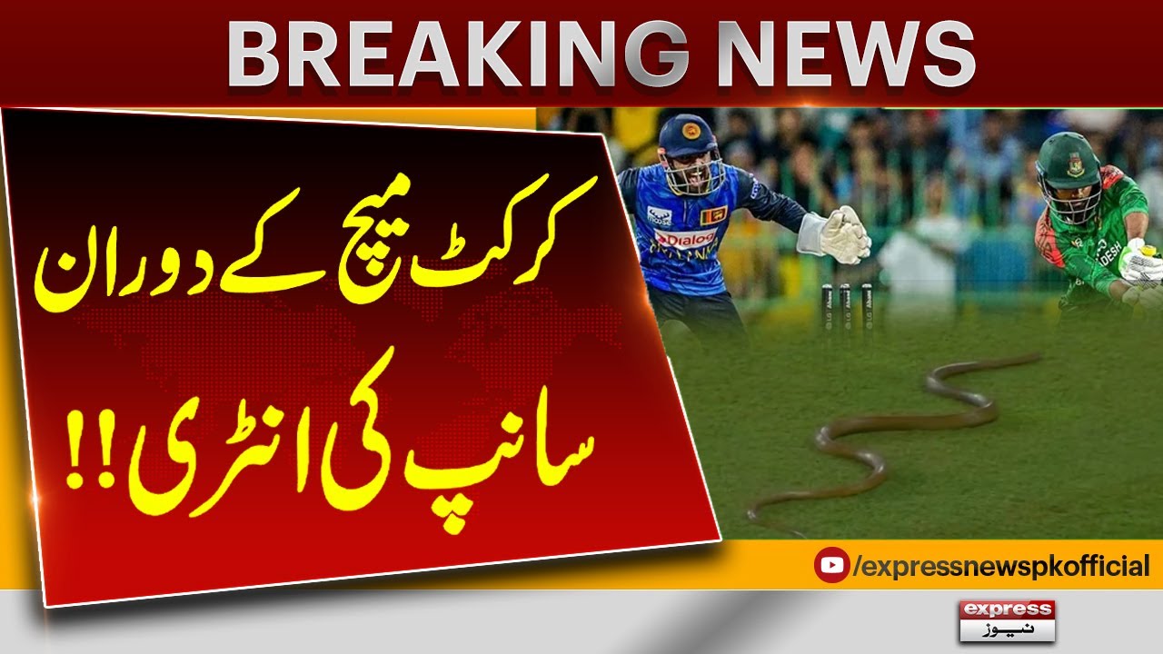 Snake Enters During Cricket Match | sri lanka vs bangladesh | Pakistan News | Breaking News