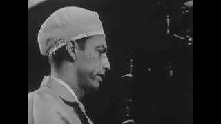 First Soft Step  (1966) screenshot 2