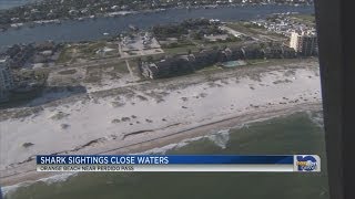 Famous Shark concerns keep double red flags flying, officials say Profile