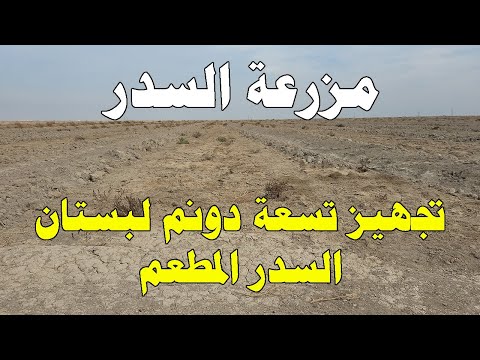 تجهيز الأرض ل 600 شتلة في بستان السدر المطعم