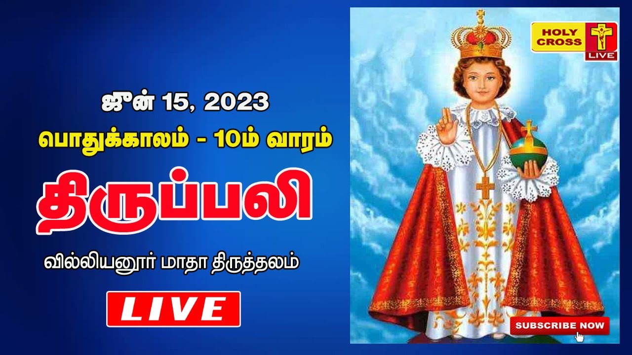 LIVE : Daily Holy Mass | 15 June, 2023 | Villianur Lourdes Shrine ...