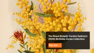 3910869709001 4815068131001 4815044586001