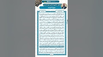 سورة الرعد من الاية 14 - 28 / للقارئ ضياء المرعي