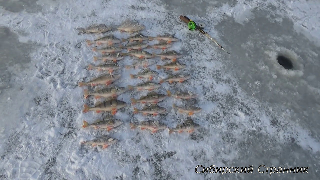 Зимняя рыбалка по первому льду, на реке Чулым 2016