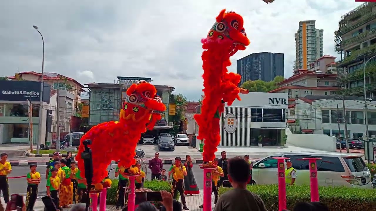 Акробатический танец льва. Захватывающий танец льва с высокими прыжками, балансировкой на шесте, ...