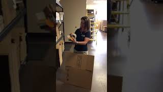 Mouse Trap Tapegun