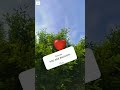 #morning #vibes #viral #video #shorts #loa #nitu #nature #love #gratitude