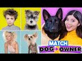 Match the Dog to the Owner (Reaction)