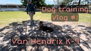 Van Hendriks K-9 Dog training - Vlog 1