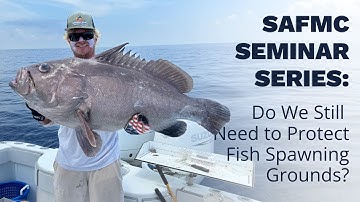 SAFMC Seminar Series: Do We Still Need to Protect Fish Spawning Grounds?