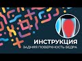 Kinexib - тейпирование задней поверхности бедра