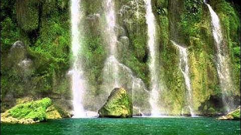 Tiếng hát giữa rừng Pắc Bó - Nhạc không lời