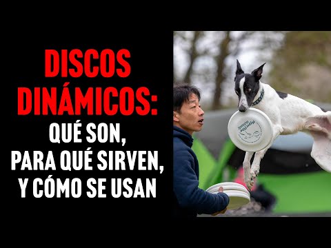 Video: ¿Es Dynamic Disk mejor que lo básico?