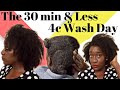 The Best Wash Day Routine under 30 Minutes on 4c Natural Hair | Naturalicious