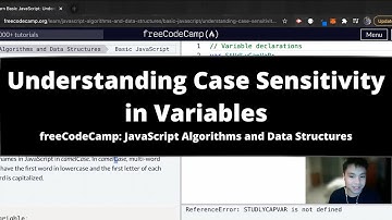 Understanding Case Sensitivity in Variables (Basic JavaScript) freeCodeCamp tutorial