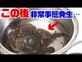 【グロ注意】生きたまま大きなカニを茹でたら…