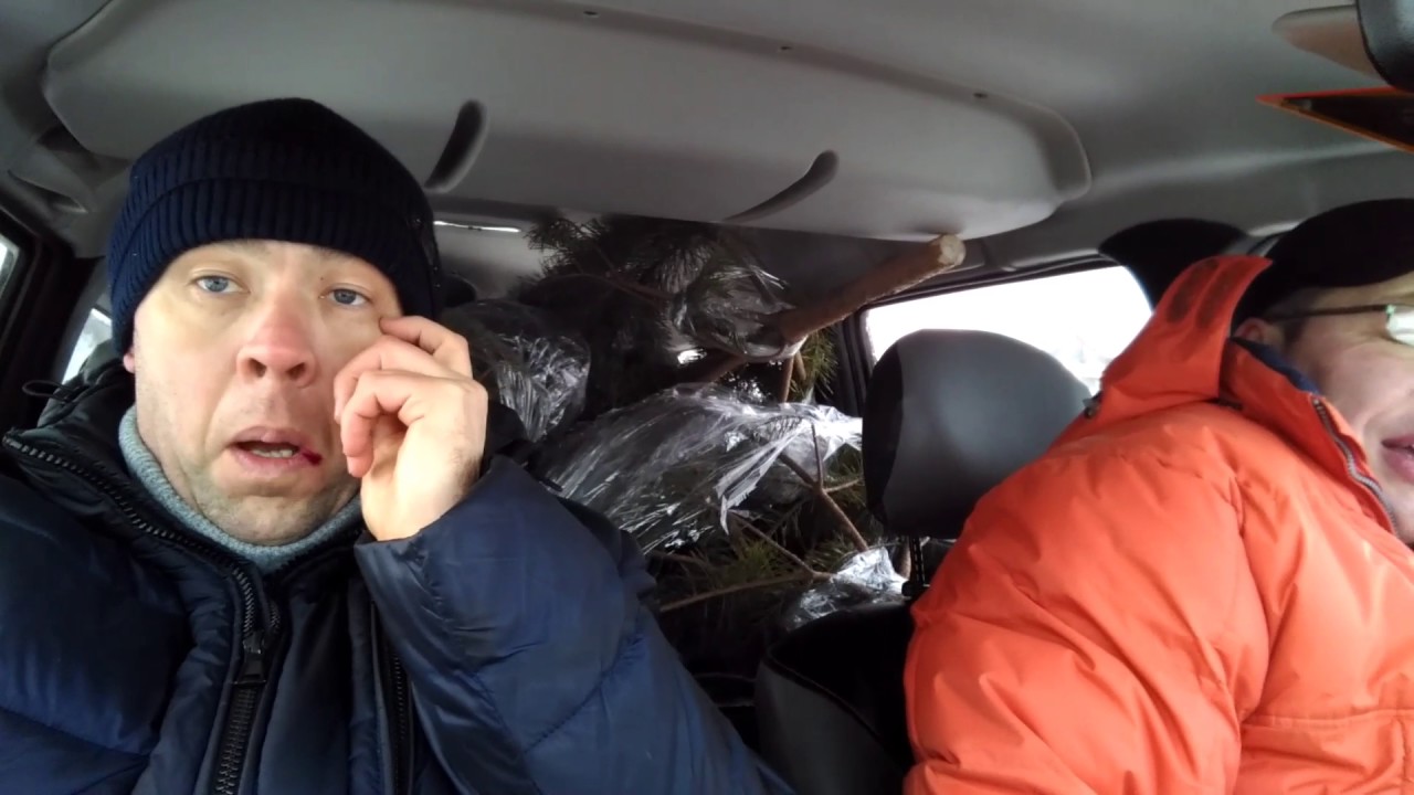 Сколько ёлок можно запихать в Ларгус? - YouTube