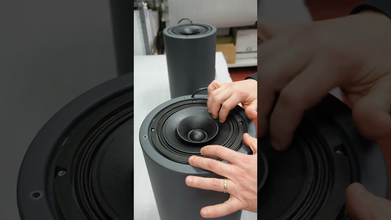 SN120 speakers' ASMR 