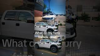 #furcon #furry #furryfriend #fursuit #fursuiters #loona #loveinglife #cars #trucks #community