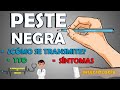 PESTE NEGRA SÍNTOMAS ¿Cómo se contagia? TRATAMIENTO | PESTE BUBÓNICA, SEPTICÉMICA Y NEUMÓNICA 👨🏻‍⚕️