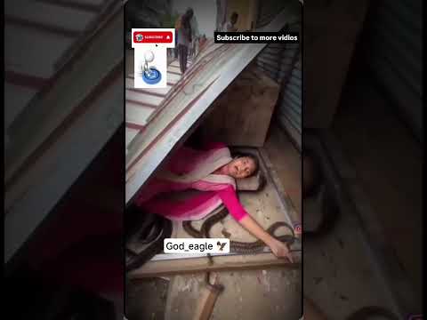 Snakes rain ☢️🤯🤯😱😱🧐 subscribe to god eagle for more vidios 🙏🦅😎👍 #holyvideo like comment 😁 God Eagle