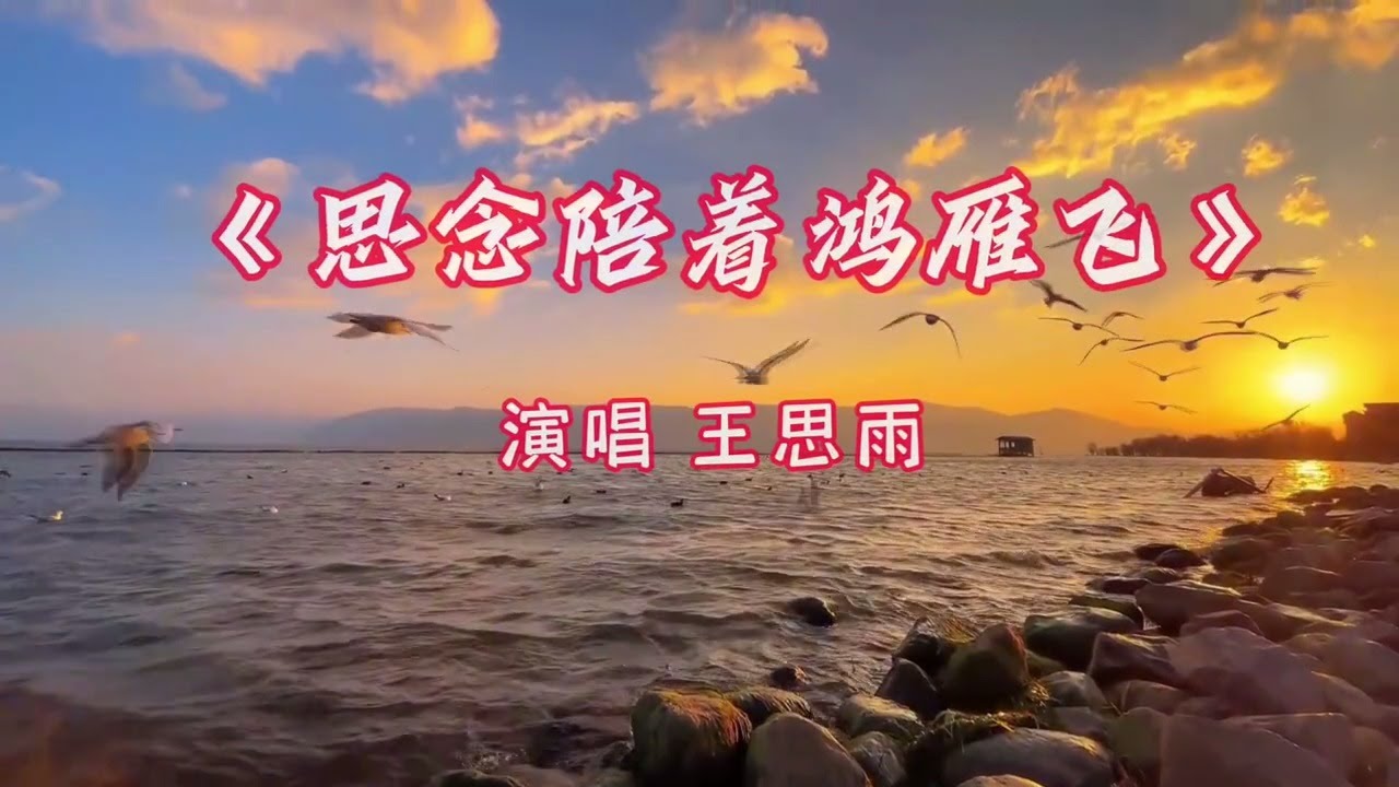 王思雨《思念陪着鸿雁飞》MV天籁之音 婉转悠扬 令人心醉