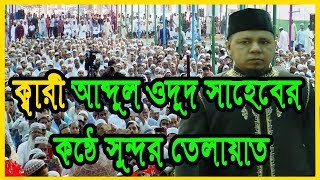 ক্বারী আব্দুল ওদুদ সাহেবের কন্ঠে সুন্দর কোরান তেলয়াত ।।