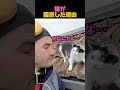 猫が困惑した理由