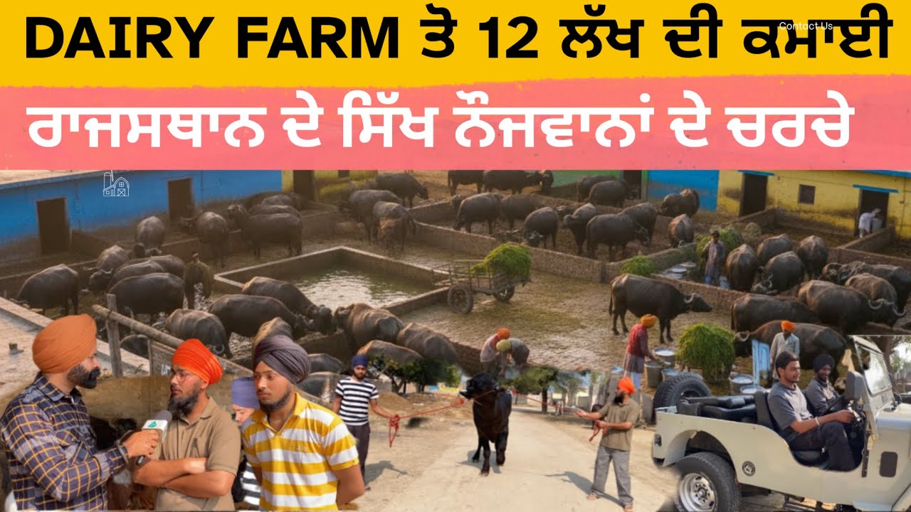 Dairy Farming ਕਰਨ ਦਾ ਦੇਸੀ ਤਰੀਕਾ,  ਛੋਟੀ ਉਮਰ ਦੇ ਨੌਜਵਾਨਾ ਨੇ ਕਰਾਤੀ ਬੱਲੇ ਬੱਲੇ , ਲੱਖਾ ਚ ਕਮਾਈ , Dairy farm 